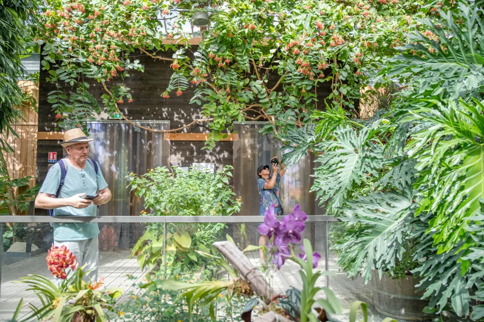 30 ans Thellier Voyages chez Terra Botanica