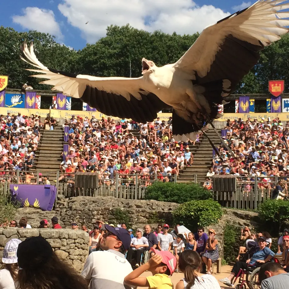 Puy du fou
