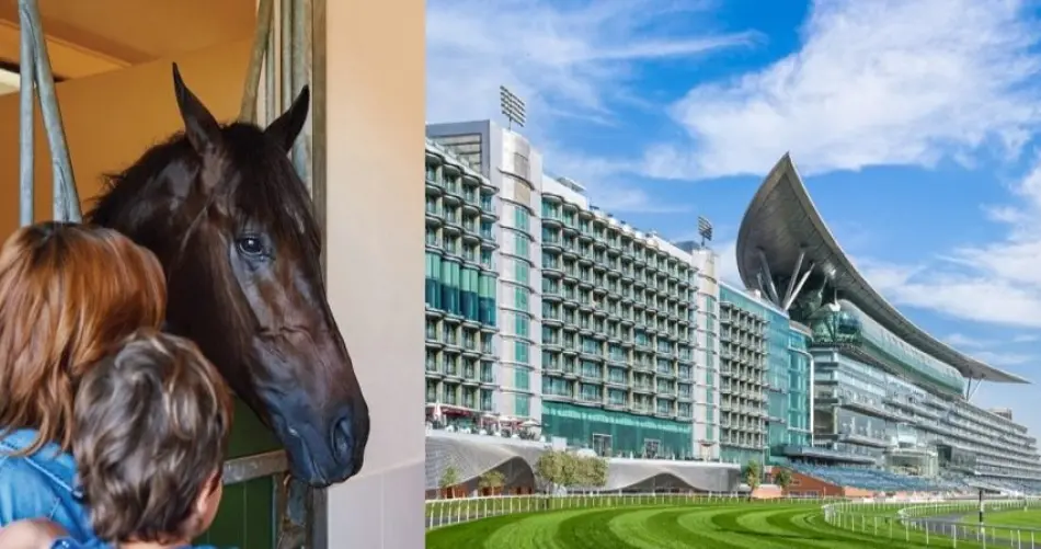 Ecurie Meydan Dubai
