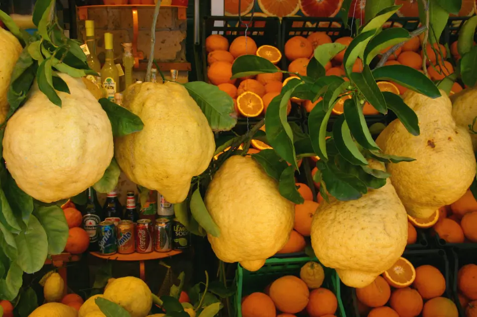 citron sicilien
