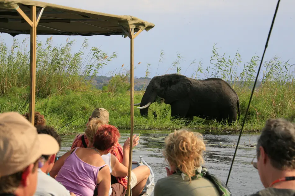 Riviere Chobe groupe