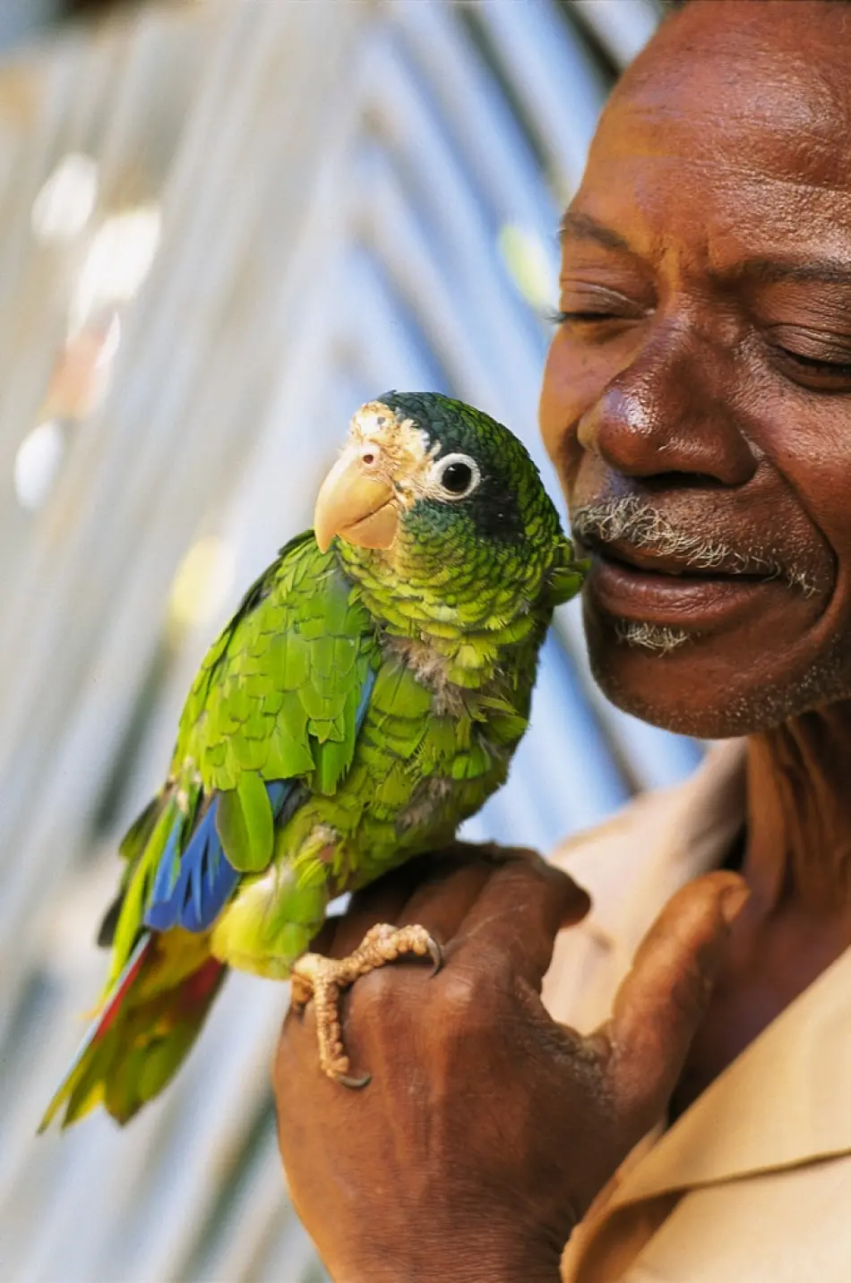 homme perroquet