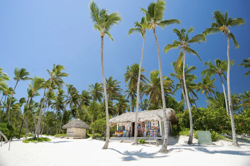 Paillotte plage Caraïbes