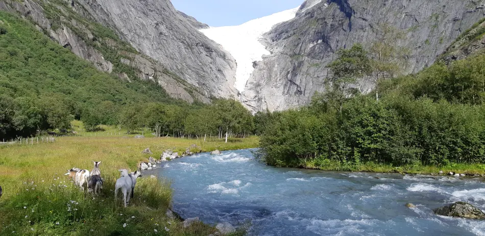 Norvège Fjords et Lofoten