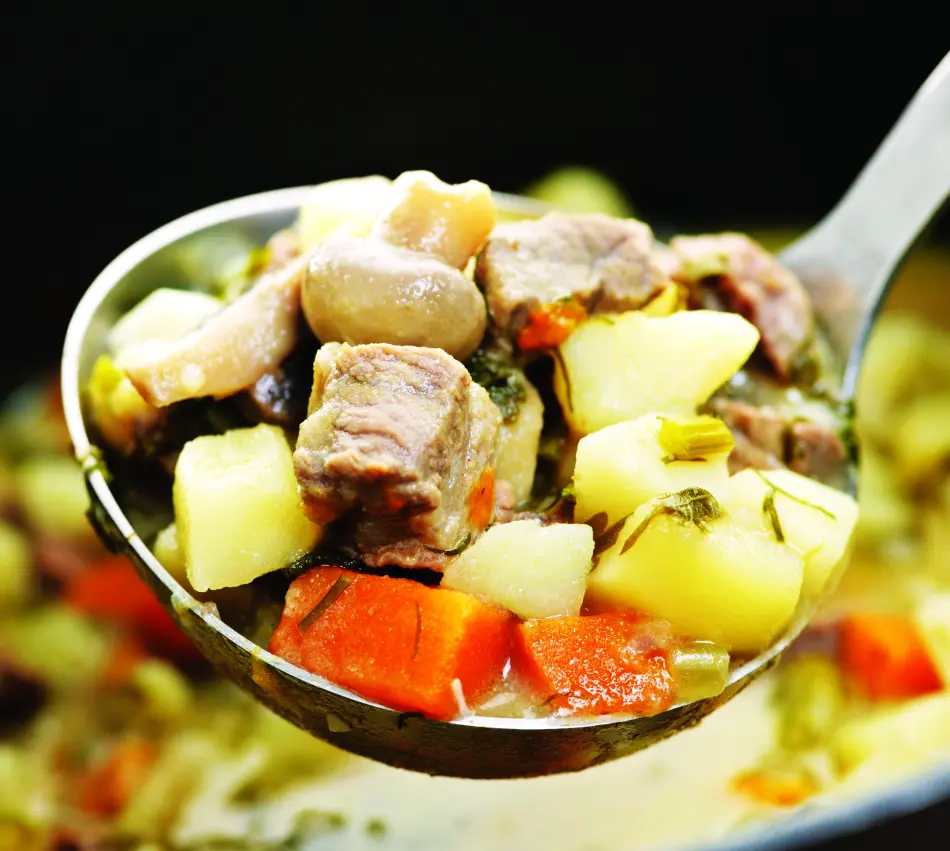 Irish stew