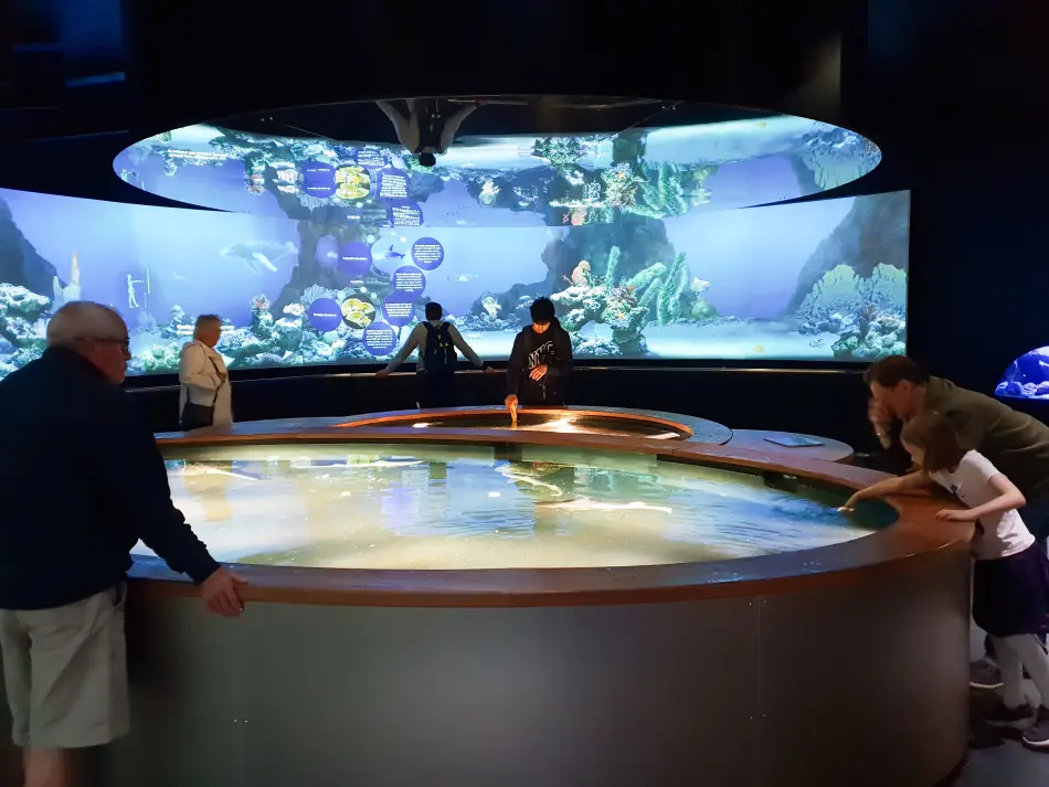 Cité de la Mer à Cherbourg