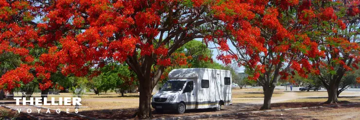 Photo panoramique Thellier Voyages pour présenter la page Le Concept